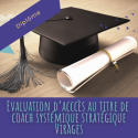 Evaluation du niveau 2 en Coaching systémique et stratégique